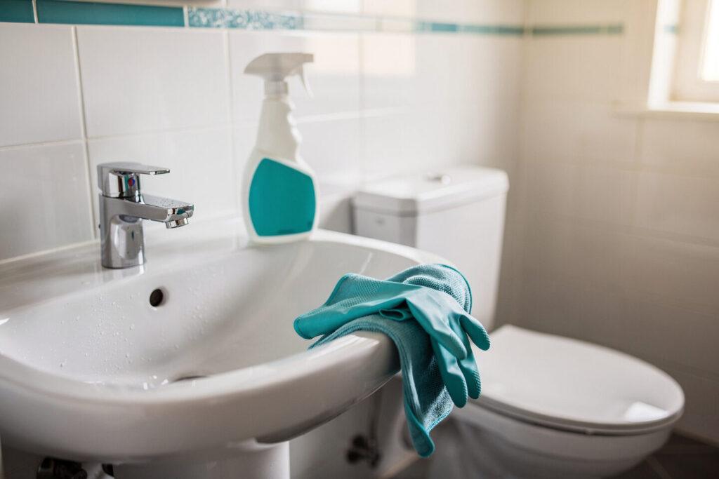 Hygiene im Bad und WC – Sanitärreinigung – 2BRUEDER e.K.